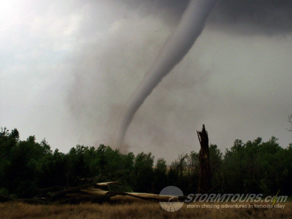 harper tornado