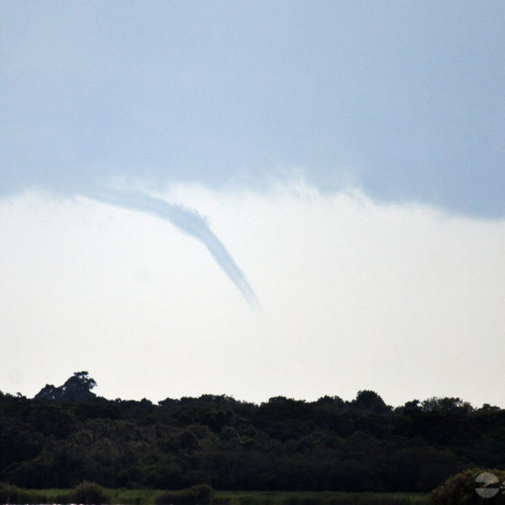 Florida Waterspout