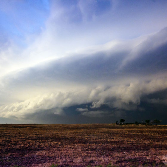 Shelf Cloud