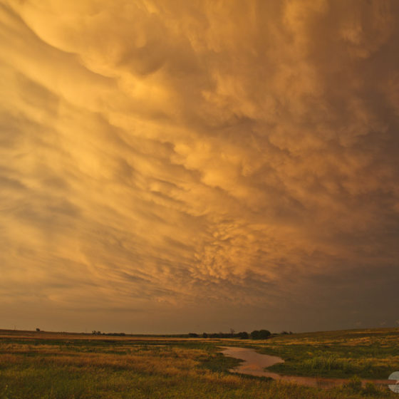 mammatus