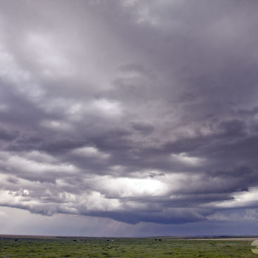 Wyoming Thunderstorm