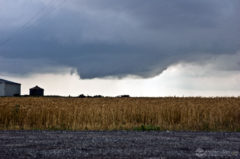 LP Supercell Thunderstorm Base