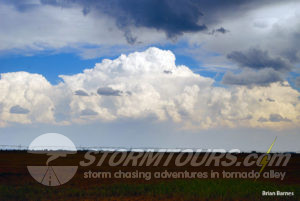 Multi-Cell Cluster Thunderstorm