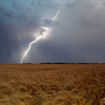 Texas Lightning