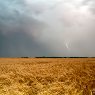 Texas Lightning Storm