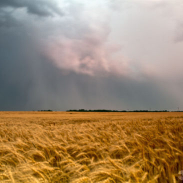 Texas Tornado in Rain