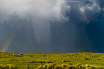 Tornado Chasers