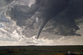 Tornado Tours