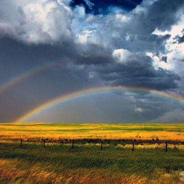 Double Rainbow