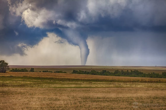 Keenesbug Colorado Tornado