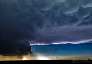 Supercell Mammatus and updraft at Sunset